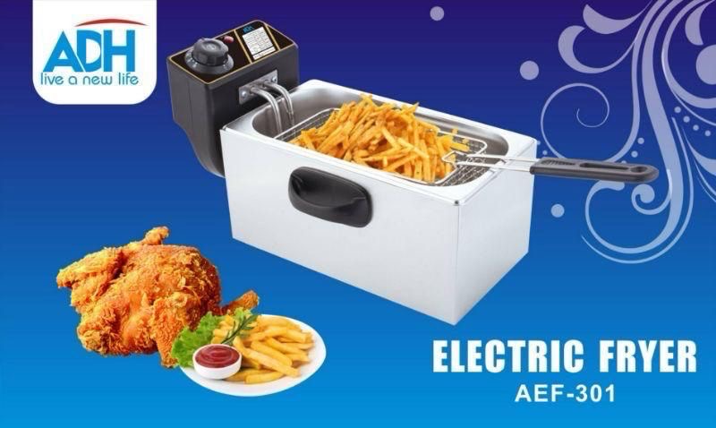 Electric fryer